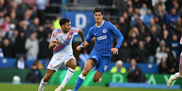 Brighton vs Crystal Palace (20:00 – 18/10) | Xem lại trận đấu